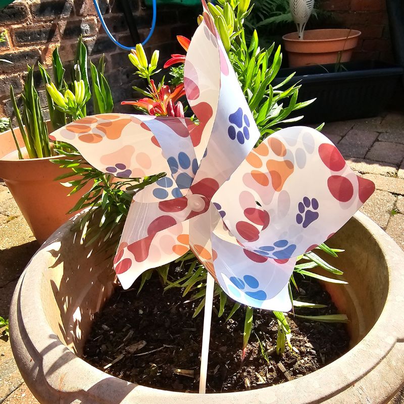 Coloured dog paw prints windmill in plant pot